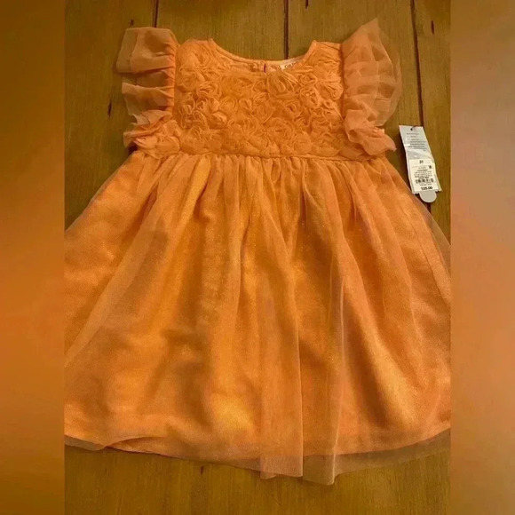 Toddler Tulle Peach Orange Shimmer Rosette Layered Pretty Party Dress NEW  3T - Picture 1 of 11